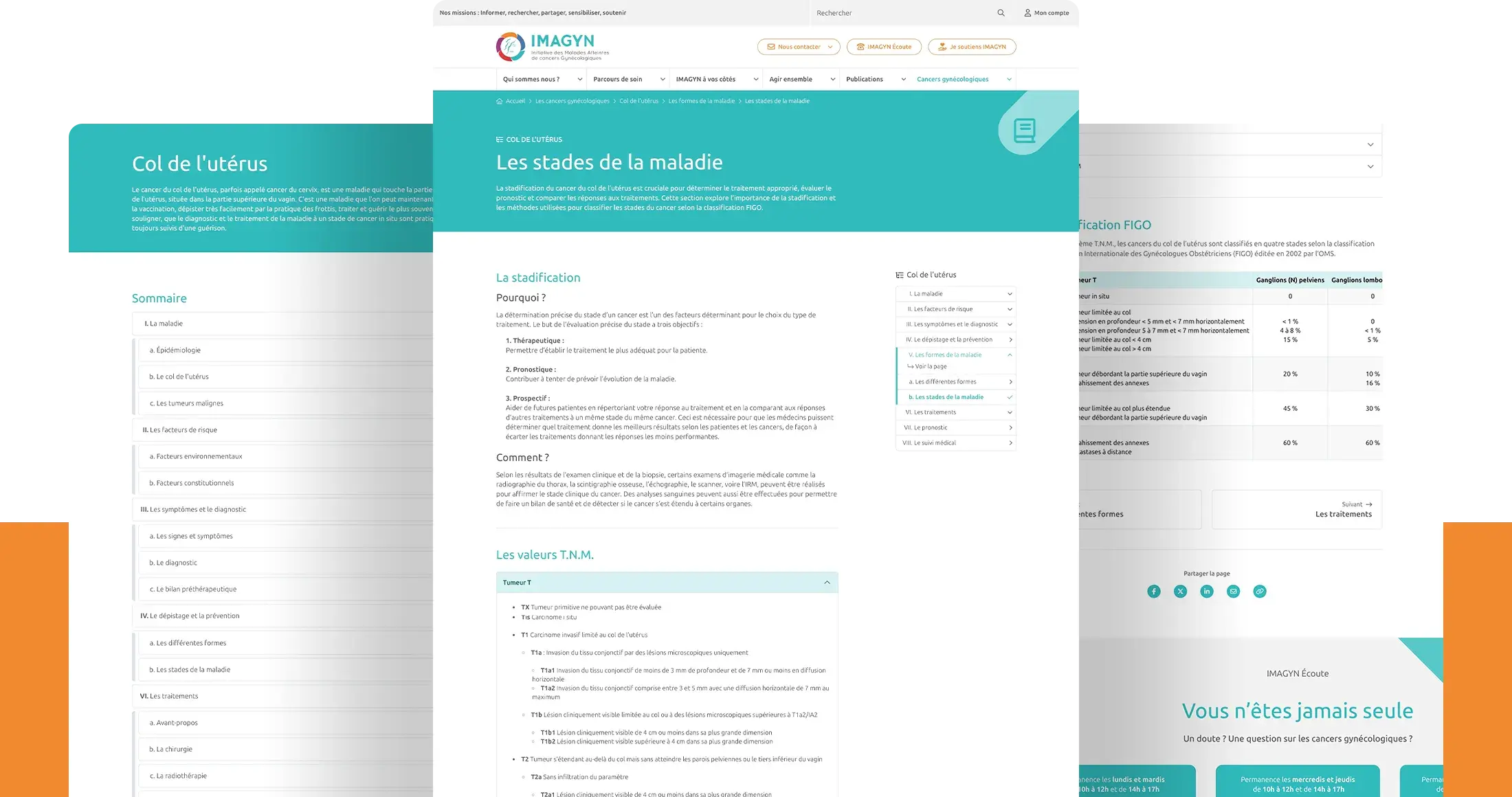 Pages présentant l'organisation du contenu sur le site de l'association IMAGYN.